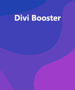 Divi Booster