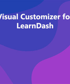 Visual Customizer for LearnDash